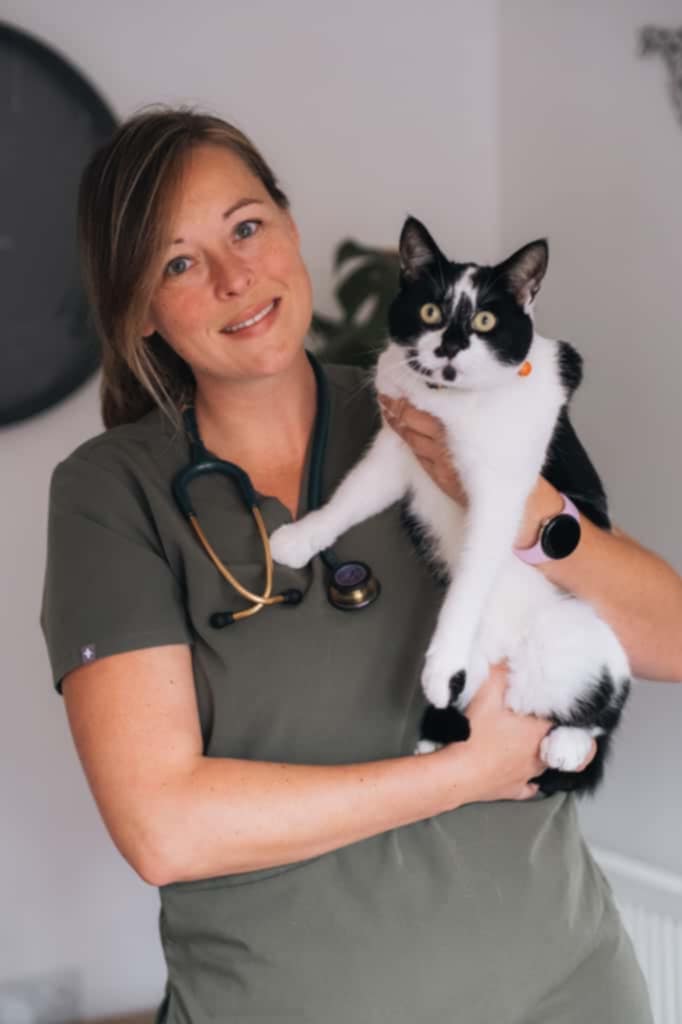 Cat patient 3