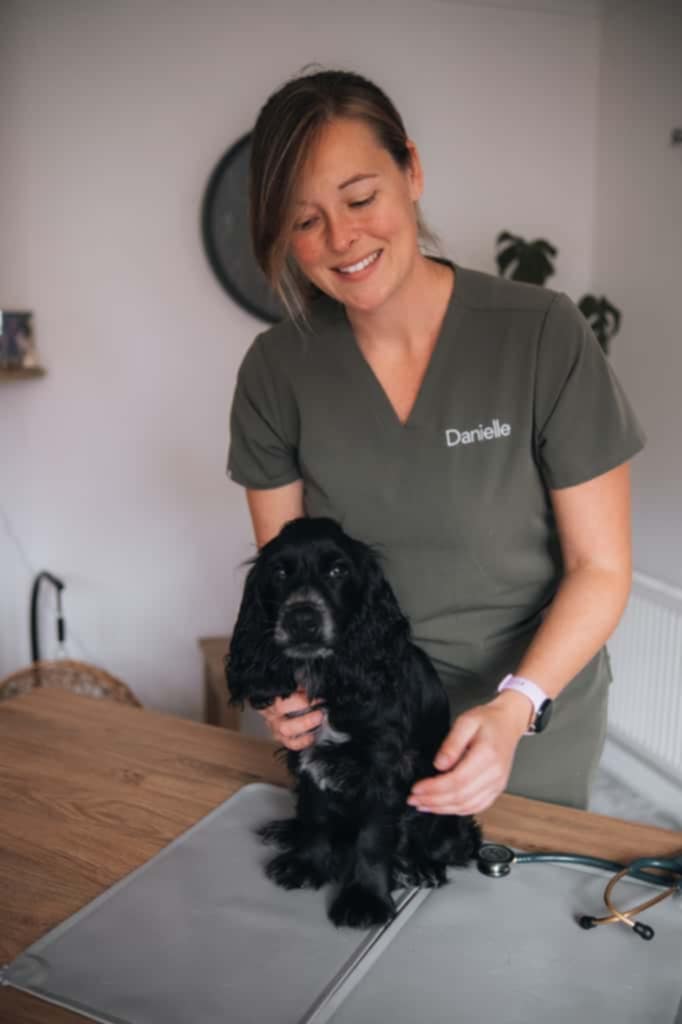 Dog patient 2